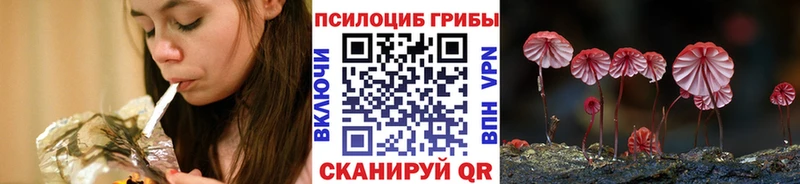 Псилоцибиновые грибы ЛСД  Берёзовский 